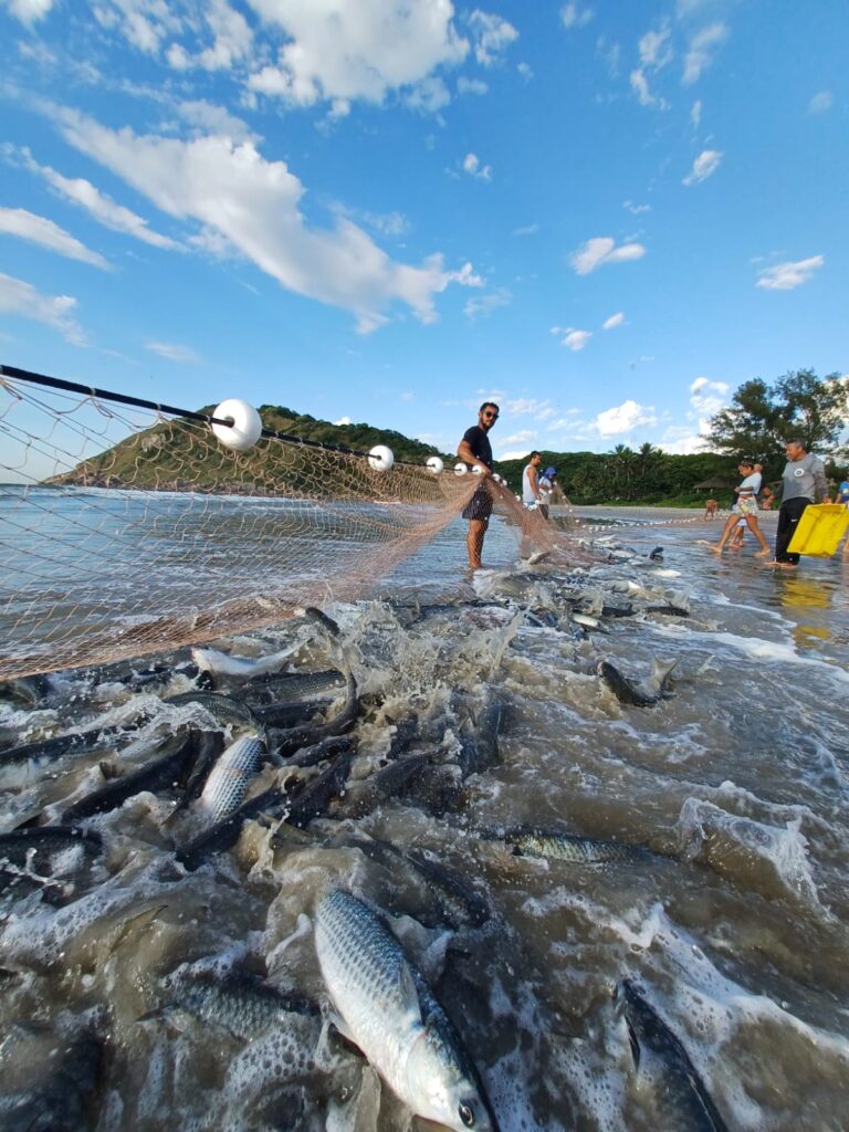 Ponto da Pesca Curitiba